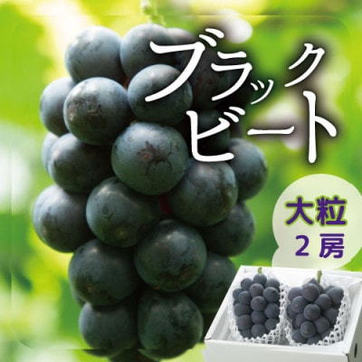 ぶどう 希少山梨産ブラックビート2房 【レアぶどう!大粒ジューシー上品な甘み】
