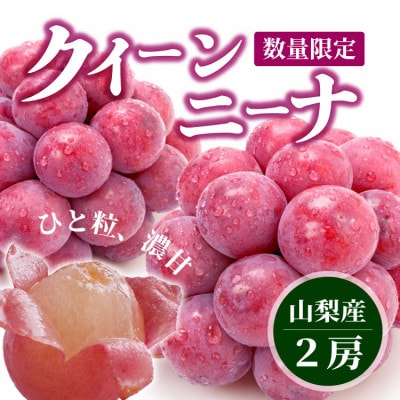 【数量限定】希少!赤い宝石 『クイーンニーナ』 2房 山梨のぶどう クインニーナ