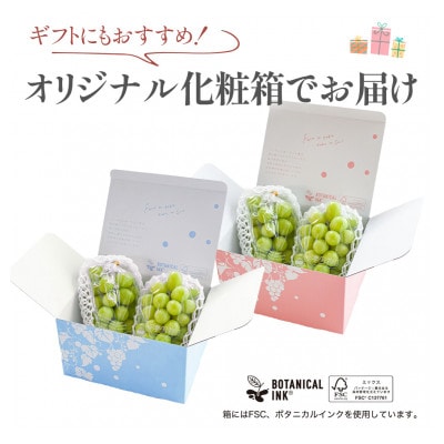 【数量限定】6月下旬～7月中旬発送ハウス栽培の『シャインマスカット』 2房　約1kg