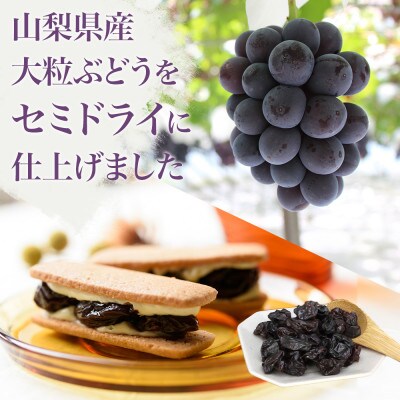 山梨産ぶどうのレーズンサンド『甲斐国サンド』10個×5箱 オリジナルバタークリームと大粒レーズン