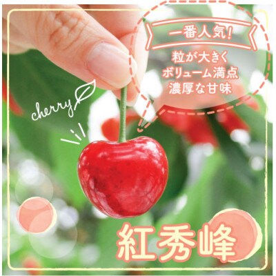 果汁感たっぷり!さくらんぼ「紅秀峰(べにしゅうほう)」大粒を約500g　6月にお届け