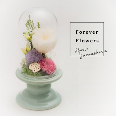 プリザーブドフラワー 仏花 ガラスドーム 寂静ピンク お礼品詳細 ふるさと納税なら さとふる プリザーブドフラワー 仏花 ガラスドーム 寂静ピンク お礼品詳細 ふるさと納税なら さとふる