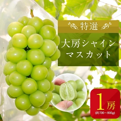 山梨の大房 シャインマスカット 1房(約700g～800g)化粧箱入りでギフトにもぴったり
