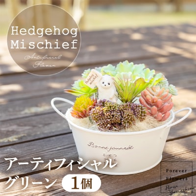 いたずらハリネズミと多肉植物のアーティフィシャルグリーン