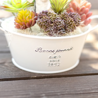 いたずらハリネズミと多肉植物のアーティフィシャルグリーン