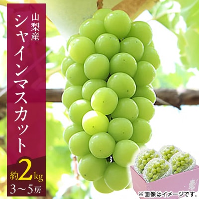 【2026年発送 先行受付】山梨市 シャインマスカット(約2kg)3～5房入り 化粧箱入り