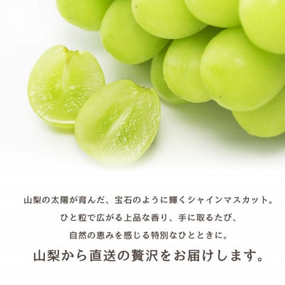 山梨市 シャインマスカット(約2kg)3～4房入り 化粧箱入り ふるさと納税