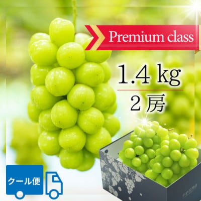 山梨市 プレミアムシャインマスカット(約1.4kg)大房2房入り 化粧箱入り