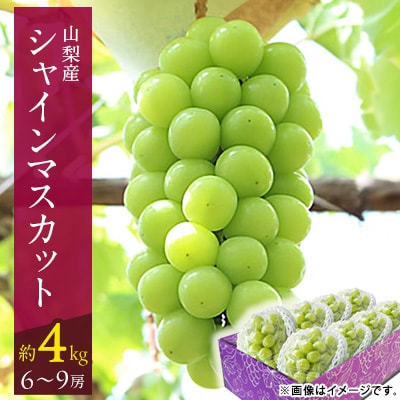 山梨市 沢山食べられるシャインマスカット(約4kg)6～9房入り