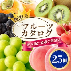 FRUiTS 25冊セット FRUiTS 25冊セット