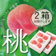山梨直送!完熟桃5～7玉  約1.5kg×2箱 約3kg ギフト化粧箱入り