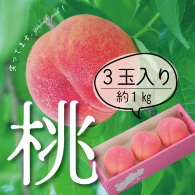 山梨直送!完熟桃3玉入り  ギフト化粧箱入り お試しにちょうどいいサイズ