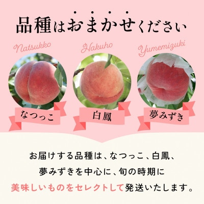 【2027年(来年)発送　先行受付】山梨直送!完熟桃3玉入り  ギフト化粧箱入り お試しサイズ