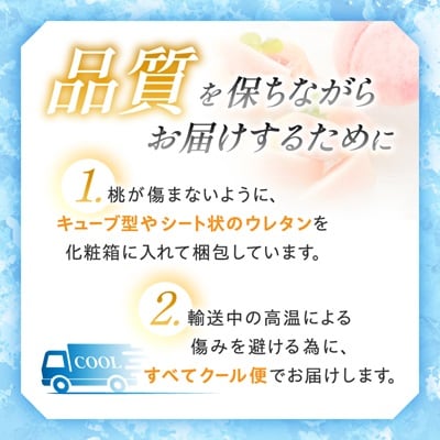 【2027年(来年)発送　先行受付】山梨直送!完熟桃3玉入り  ギフト化粧箱入り お試しサイズ