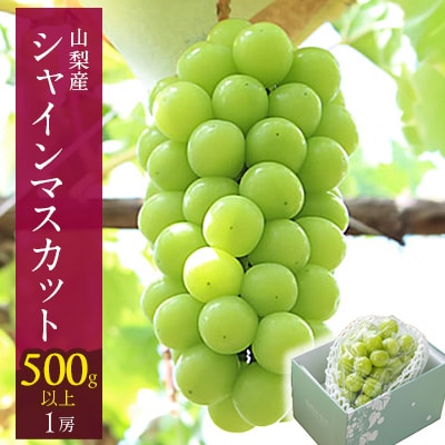山梨市 シャインマスカット 1房(500g以上) クール便でお届け