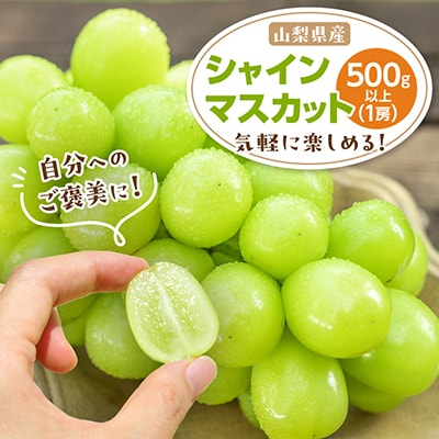 山梨市 シャインマスカット1房(500g以上) 化粧箱入り