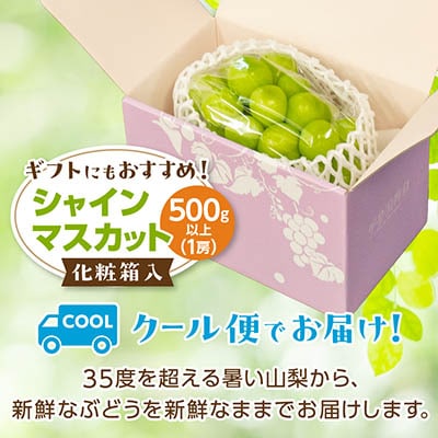 山梨市 シャインマスカット1房(500g以上) 化粧箱入り