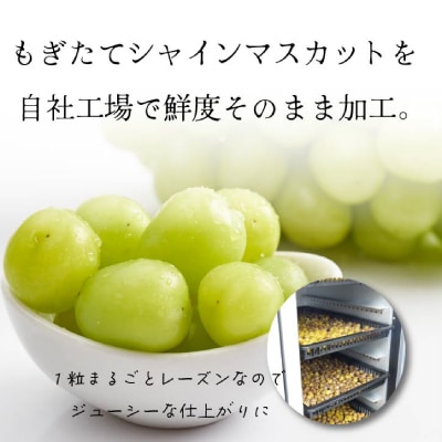 山梨県産シャインマスカットのレーズン 30g×3袋 無添加、砂糖不使用のおやつ【オイルフリー】