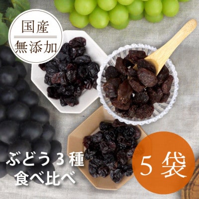 シャインマスカット 巨峰 ピオーネ のレーズン 30g×5袋 食べ比べセット 無添加、砂糖不使用