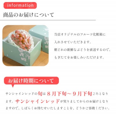 【数量限定】山梨県産 希少品種「サンシャインレッド」2房約1kg  化粧箱入 赤いシャインマスカット