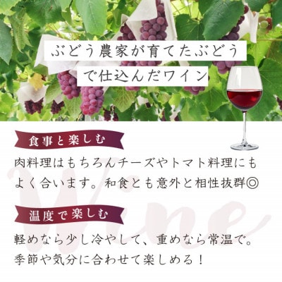 八幡メルロ 赤ワイン ぶどうの名産山梨でとれた葡萄で仕込んだワイン 八幡洋酒 720ml×1本