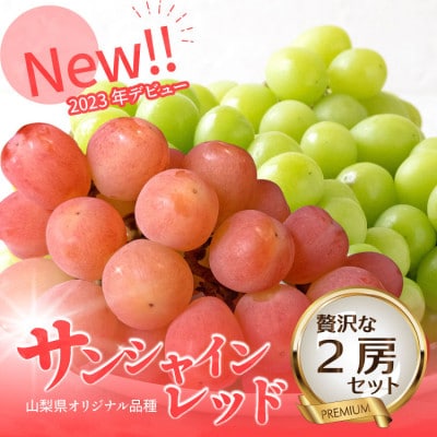 2026年発送【数量限定】希少な新品種サンシャインレッドと大人気シャインマスカットの贅沢2房セット
