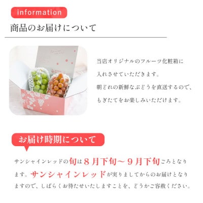 2026年発送【数量限定】希少な新品種サンシャインレッドと大人気シャインマスカットの贅沢2房セット