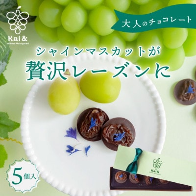 シャインマスカットレーズンのチョコレートマンディアン 5個入 山梨県産シャインマスカット使用