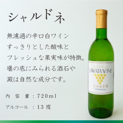 白ワイン飲み比べセット シャインマスカット シャルドネ各720ml 辛口 無濾過 山梨県産ぶどう使用