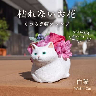 くつろぎ猫(白猫)プリザーブドフラワー ～ネコ好きの方への贈り物に～