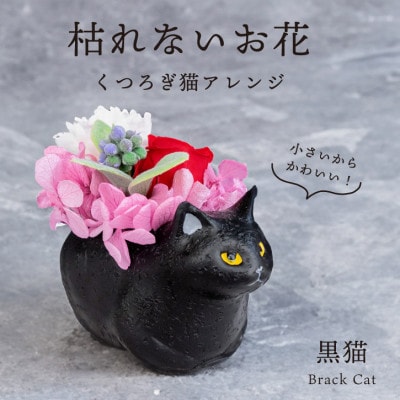 くつろぎ猫(黒猫)プリザーブドフラワー ～ネコ好きの方への贈り物に～