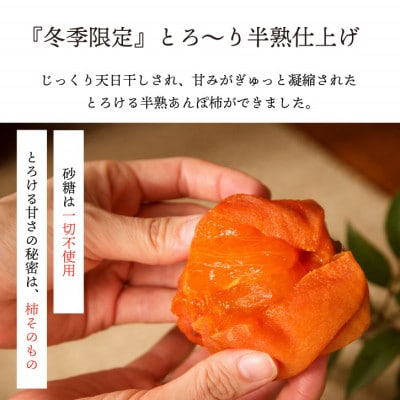 【2026年11月より発送】特選 山梨県産 あんぽ柿 「蜜まる」 6個入