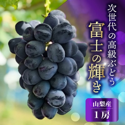 山梨市産 富士の輝き 大粒で高糖度の黒ぶどう 贈答用大房 1房