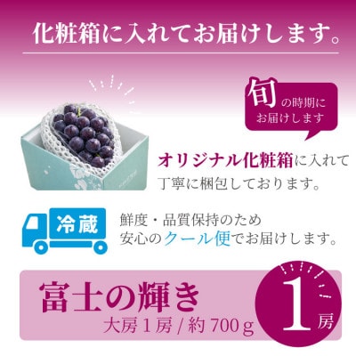 山梨市産 富士の輝き 大粒で高糖度の黒ぶどう 贈答用大房 1房