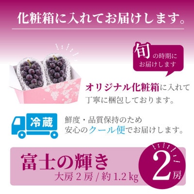 山梨市産 富士の輝き 大粒で高糖度の黒ぶどう 贈答用2房 化粧箱入り