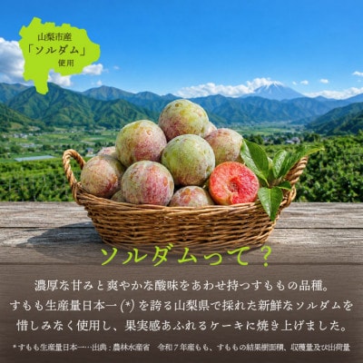 すもも丸ごとケーキ 山梨市産ソルダムをふんだんに使用した贅沢なフルーツケーキ 4号 1ホール