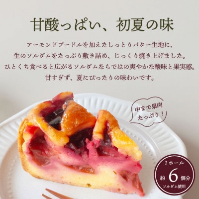 すもも丸ごとケーキ 山梨市産ソルダムをふんだんに使用した贅沢なフルーツケーキ 4号 1ホール