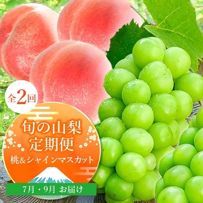 【発送月固定定期便】山梨の人気フルーツ!桃とシャインマスカットの定期便 全2回