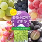 【発送月固定定期便】葡萄好きさん、集まれ～!人気のフルーツぶどうの定期便全3回