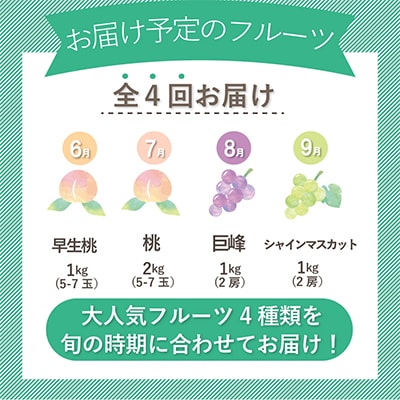 【発送月固定定期便】山梨県産夏の大人気フルーツ【早生桃・桃・巨峰・シャインマスカット】全4回