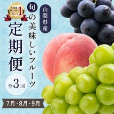 【発送月固定定期便】山梨県産旬のおいしいフルーツ【桃・巨峰・シャインマスカット】定期便 全3回