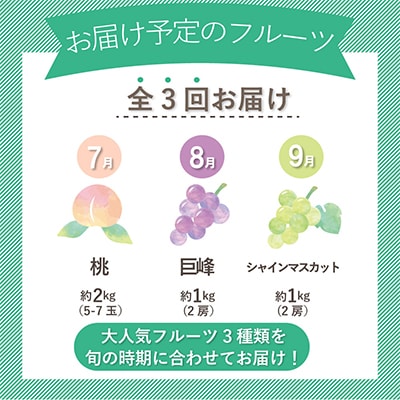 【発送月固定定期便】山梨県産旬のおいしいフルーツ【桃・巨峰・シャインマスカット】定期便 全3回