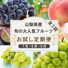 【発送月固定定期便】山梨県産旬の大人気フルーツ【桃・巨峰・シャインマスカット】お試し定期便 全3回