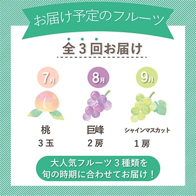 【発送月固定定期便】山梨県産旬の大人気フルーツ【桃・巨峰・シャインマスカット】お試し定期便 全3回
