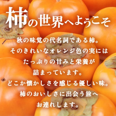 【発送月固定定期便】柿好きのための『柿づくし』セット 新鮮な柿・干し柿・オリジナルスイーツ全3回