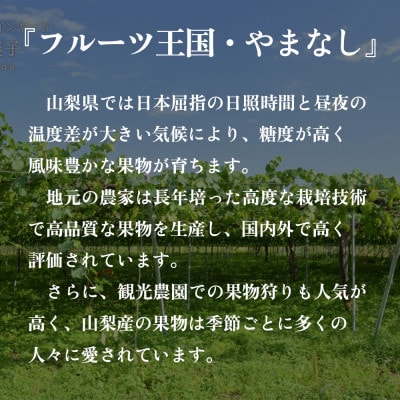 【発送月固定定期便】柿好きのための『柿づくし』セット 新鮮な柿・干し柿・オリジナルスイーツ全3回