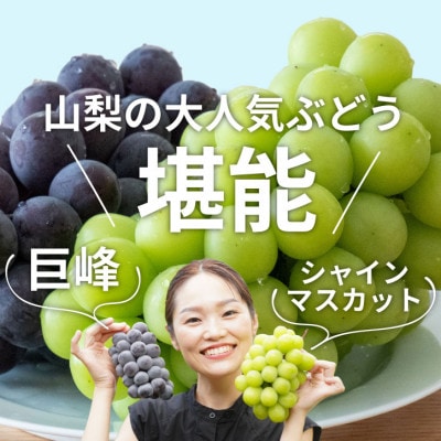 【発送月固定定期便】生産量日本一の山梨から巨峰とシャインマスカットをお届けする定期便全2回