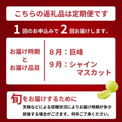 【発送月固定定期便】生産量日本一の山梨から巨峰とシャインマスカットをお届けする定期便全2回