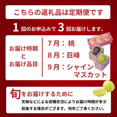 【発送月固定定期便】山梨の大人気フルーツ桃・巨峰・シャインマスカットを手軽に試せる定期便全3回