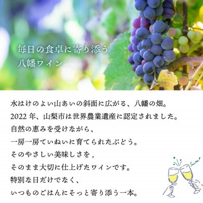 【毎月定期便】山梨 八幡洋酒 白ワイン 赤ワイン 飲み比べ 定期便 ぶどう農家全3回
